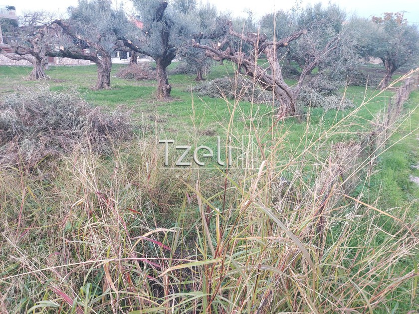 Land plot 2.250sqm for sale-Messatida » Mpakari