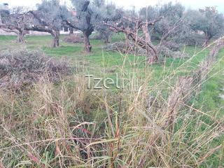 Οικόπεδο 2.250 τ.μ. για πώληση