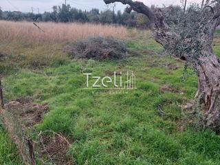 Οικόπεδο 2.250 τ.μ. για πώληση, Αχαΐα, Μεσσατίδα-thumb-2