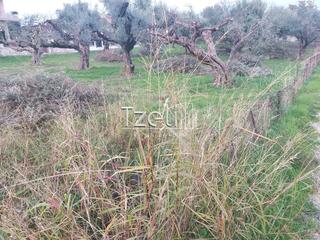 Οικόπεδο 2.250 τ.μ. για πώληση, Αχαΐα, Μεσσατίδα-thumb-5