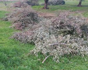 Οικόπεδο 2.250 τ.μ. για πώληση, Αχαΐα, Μεσσατίδα-thumb-12
