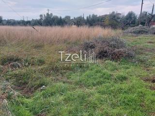 Οικόπεδο 2.250 τ.μ. για πώληση, Αχαΐα, Μεσσατίδα-thumb-16