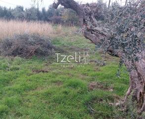 Οικόπεδο 2.250 τ.μ. για πώληση, Αχαΐα, Μεσσατίδα-thumb-19