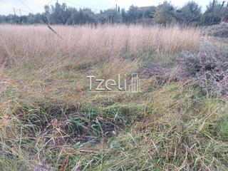 Οικόπεδο 2.250 τ.μ. για πώληση, Αχαΐα, Μεσσατίδα-thumb-20