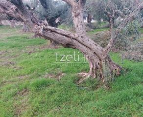 Οικόπεδο 2.250 τ.μ. για πώληση, Αχαΐα, Μεσσατίδα-thumb-21