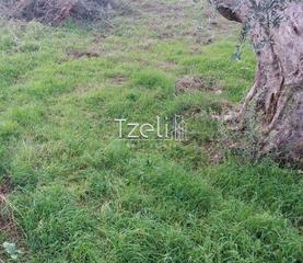 Οικόπεδο 2.250 τ.μ. για πώληση, Αχαΐα, Μεσσατίδα-thumb-22