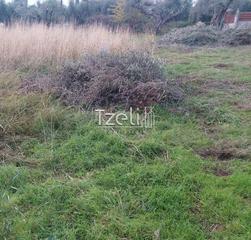 Οικόπεδο 2.250 τ.μ. για πώληση, Αχαΐα, Μεσσατίδα-thumb-23