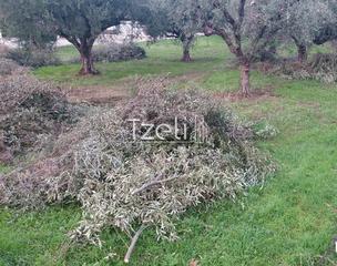 Οικόπεδο 2.250 τ.μ. για πώληση, Αχαΐα, Μεσσατίδα-thumb-27