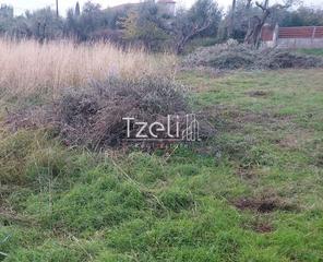 Οικόπεδο 2.250 τ.μ. για πώληση, Αχαΐα, Μεσσατίδα-thumb-28
