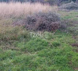 Οικόπεδο 2.250 τ.μ. για πώληση, Αχαΐα, Μεσσατίδα-thumb-29