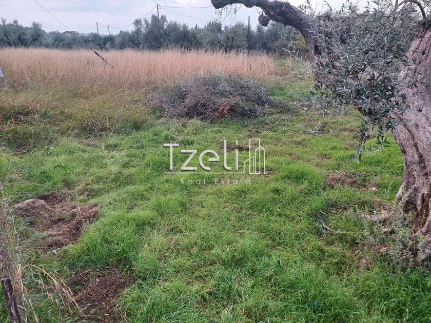 Land plot 4.500sqm for sale-Messatida » Mpakari