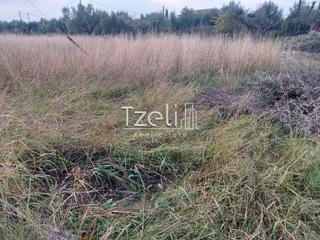 Οικόπεδο 4.500 τ.μ. για πώληση, Αχαΐα, Μεσσατίδα-thumb-14