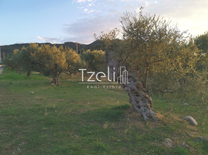 Land plot 590sqm for sale-Vrachneika » Monodendri