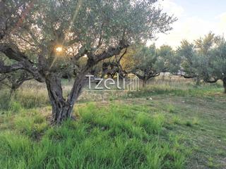 Οικόπεδο 590 τ.μ. για πώληση, Αχαΐα, Βραχναίικα-thumb-2