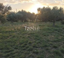 Οικόπεδο 590 τ.μ. για πώληση, Αχαΐα, Βραχναίικα-thumb-3