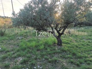 Οικόπεδο 590 τ.μ. για πώληση, Αχαΐα, Βραχναίικα-thumb-4