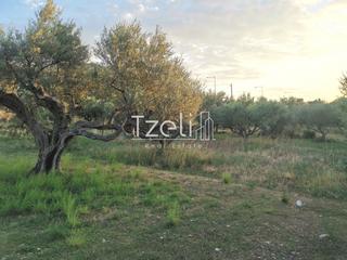 Οικόπεδο 590 τ.μ. για πώληση, Αχαΐα, Βραχναίικα-thumb-6