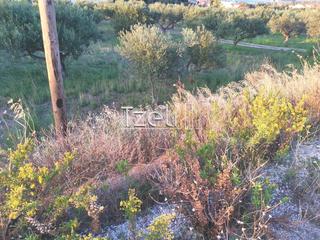 Οικόπεδο 590 τ.μ. για πώληση, Αχαΐα, Βραχναίικα-thumb-7