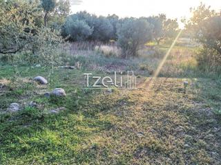 Οικόπεδο 590 τ.μ. για πώληση, Αχαΐα, Βραχναίικα-thumb-10