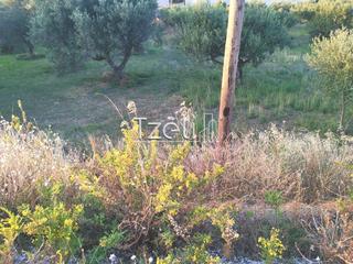 Οικόπεδο 590 τ.μ. για πώληση, Αχαΐα, Βραχναίικα-thumb-13
