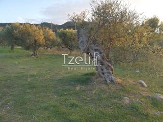 Οικόπεδο 590 τ.μ. για πώληση, Αχαΐα, Βραχναίικα-thumb-14