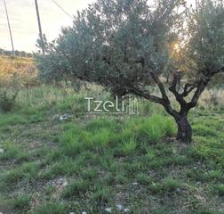 Οικόπεδο 590 τ.μ. για πώληση, Αχαΐα, Βραχναίικα-thumb-15