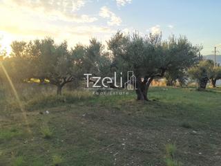 Οικόπεδο 590 τ.μ. για πώληση, Αχαΐα, Βραχναίικα-thumb-18