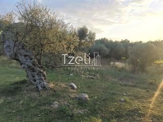 Οικόπεδο 590 τ.μ. για πώληση, Αχαΐα, Βραχναίικα-thumb-23