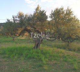 Οικόπεδο 590 τ.μ. για πώληση, Αχαΐα, Βραχναίικα-thumb-24