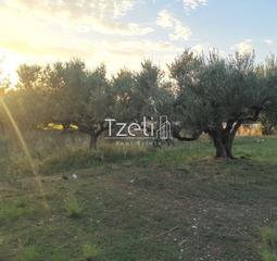 Οικόπεδο 590 τ.μ. για πώληση, Αχαΐα, Βραχναίικα-thumb-25