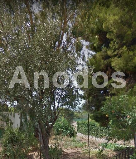 Οικόπεδο 380 τ.μ. προς πώληση, Άνω Μελίσσια