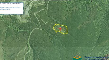 Parcel 11.679sqm for sale-Afetes » Plaka