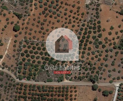 Land plot 10.170sqm for sale-Akrotiri » Pazinos