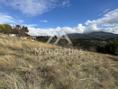 Parcel 2.200sqm for sale-Panorama » Center