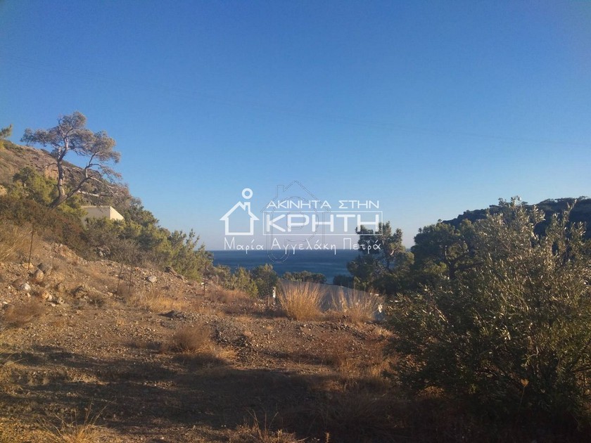 Οικόπεδο 2.000 τ.μ. για πώληση
