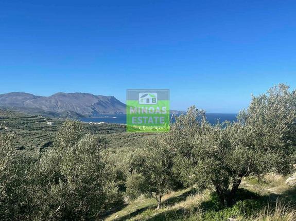 Οικόπεδο 10.000 τ.μ. για πώληση, Ν. Χανίων, Κίσσαμος