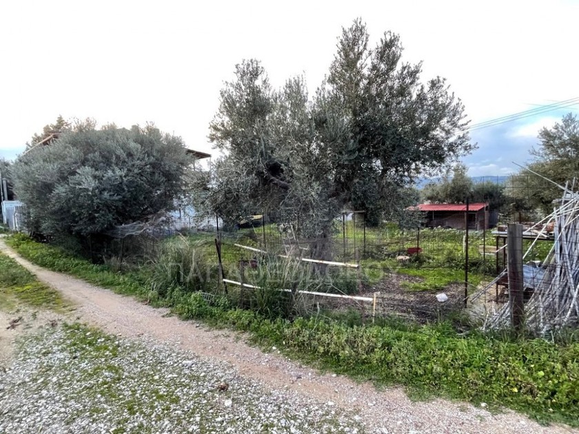 Land plot 642sqm for sale-Patra » Patra Centre