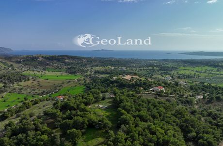 Αγροτεμάχια 10.571τ.μ. για πώληση-Κρανίδι » Κέντρο