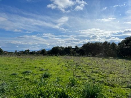 Parcel 5.863sqm for sale-Kefalonia » Leivatho
