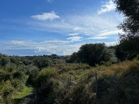 Parcel 5.530sqm for sale-Kefalonia » Leivatho