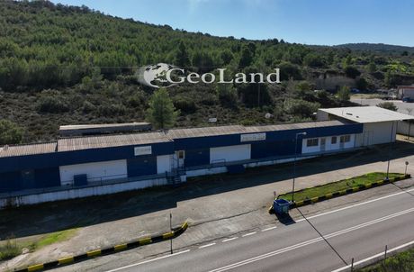 Επιχειρηματικό κτίριο 527τ.μ. για πώληση-Κρανίδι » Κέντρο