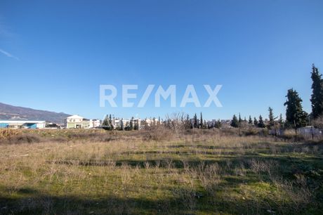 Parcel 3.645sqm for sale-Nea Ionia Volou » Melissatika