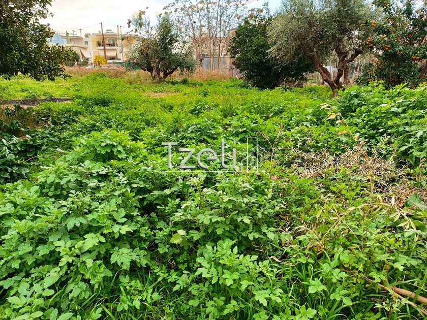 Οικόπεδο 2.795 τ.μ. για πώληση, Αχαΐα, Ωλένια