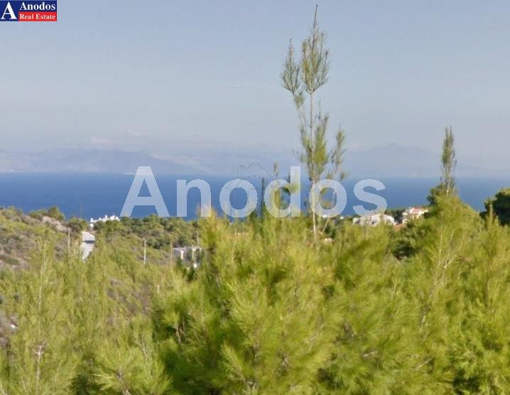Land plot 1.000 sqm for sale, Athens - East, Nea Makri