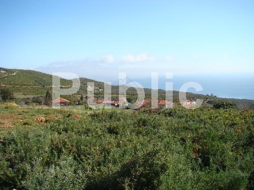 Οικόπεδο 1.380 τ.μ. πρός πώληση, Μαγνησία, Βόλος