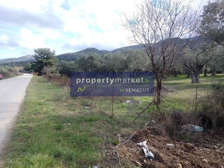 Αγροτεμάχια 4.800τ.μ. για πώληση-Θάσος » Σκάλα σωτήρος