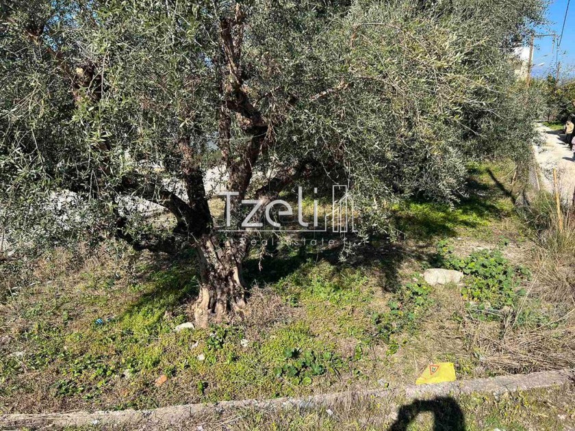 Οικόπεδο 450 τ.μ. για πώληση