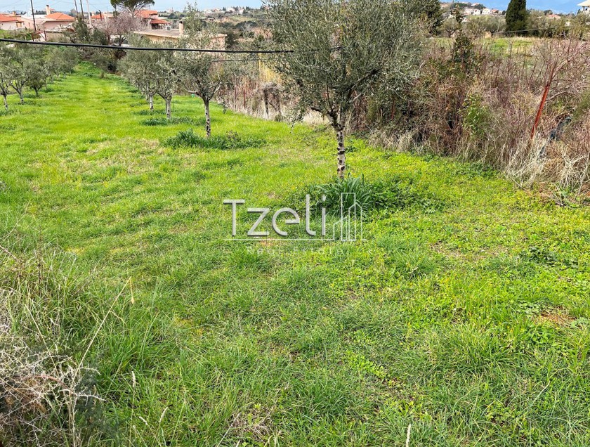 Οικόπεδο 1.700τ.μ. για πώληση-Πάτρα » Μπάλας