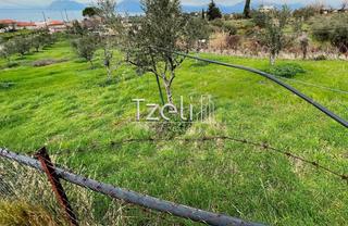 Οικόπεδο 1.700 τ.μ. για πώληση, Αχαΐα, Πάτρα-thumb-5