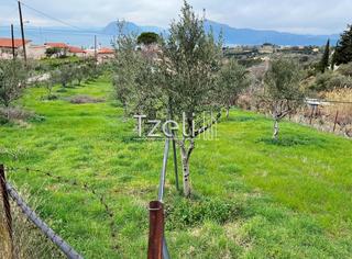 Οικόπεδο 1.700 τ.μ. για πώληση, Αχαΐα, Πάτρα-thumb-7